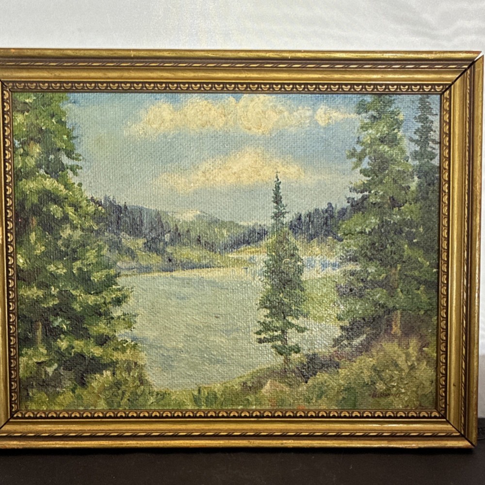 Framed Realism Oil Painting on Canvas – Landscape with Trees and Lake
