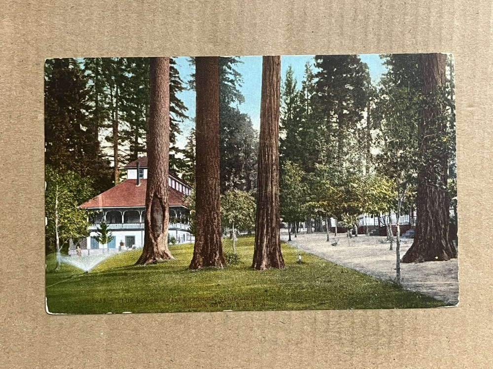 Postcard Shasta Springs California CA Club House Southern Pacific Railroad