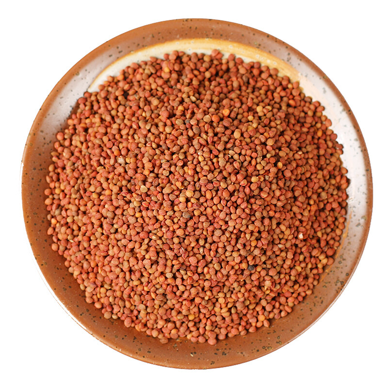 500g Health Care Featured Natural Healthy Herbal Tea Original Chu Shi Zi 精选楮实子