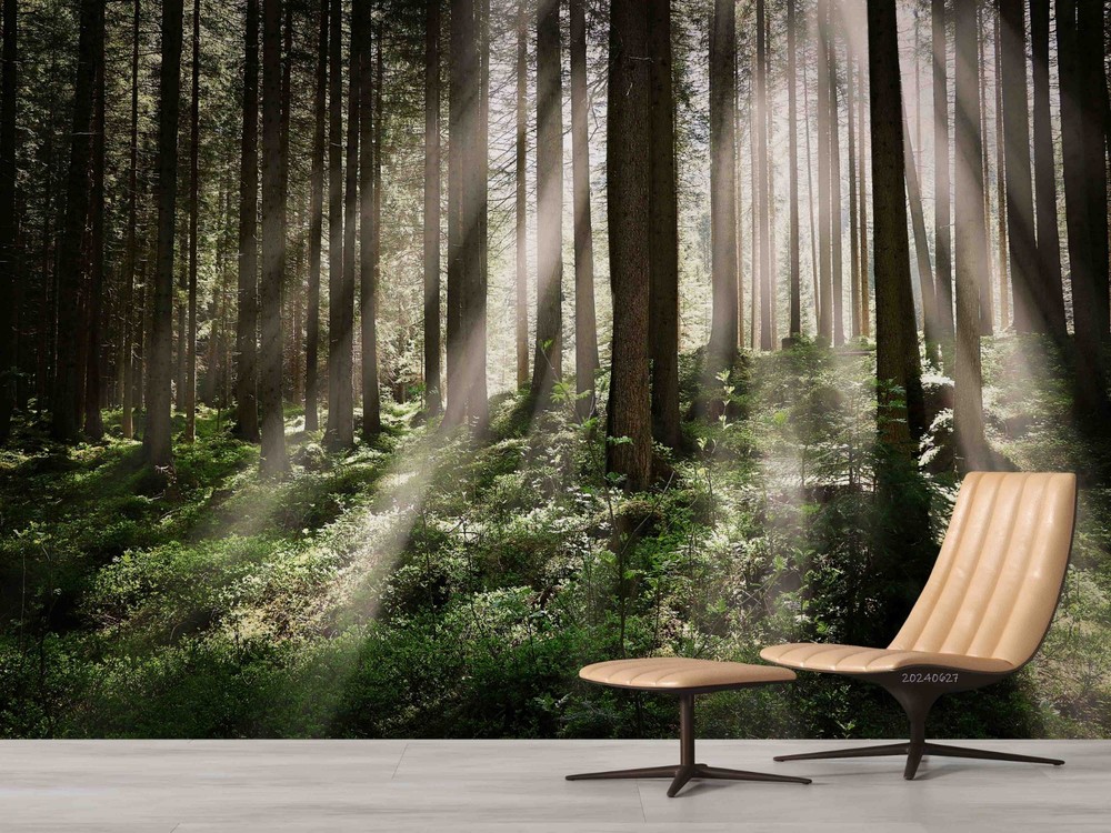 3D Forest Sunshine Landscape Wall Murals Wallpaper Murals Wall Sticker 10