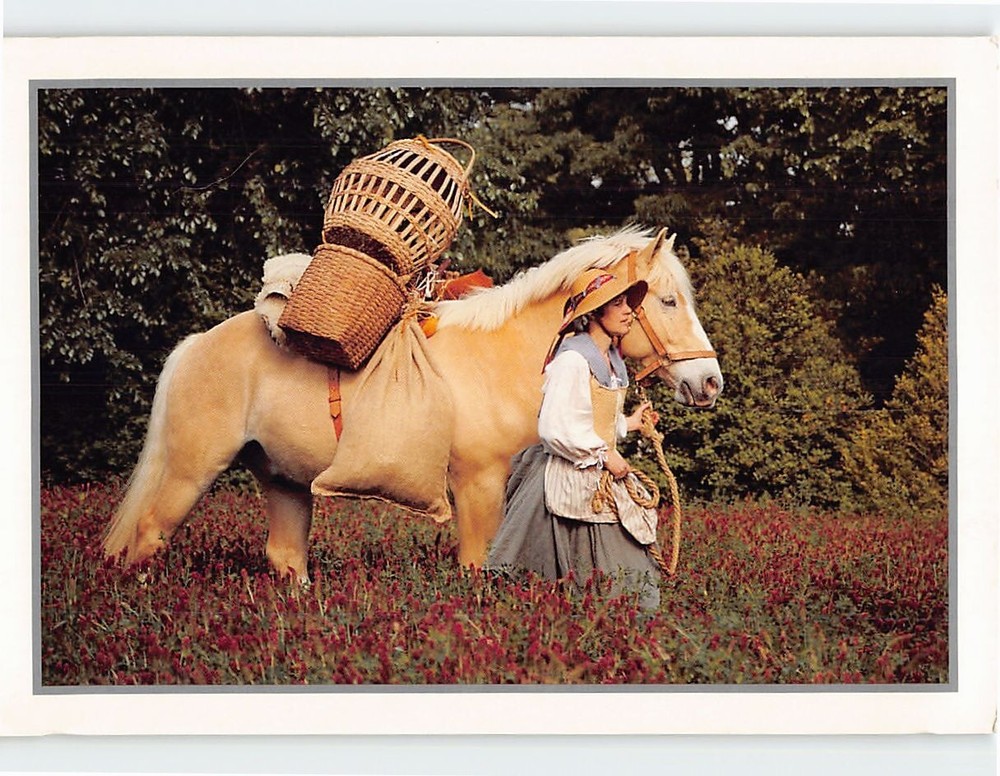 Postcard A costumed interpreter Williamsburg Virginia USA
