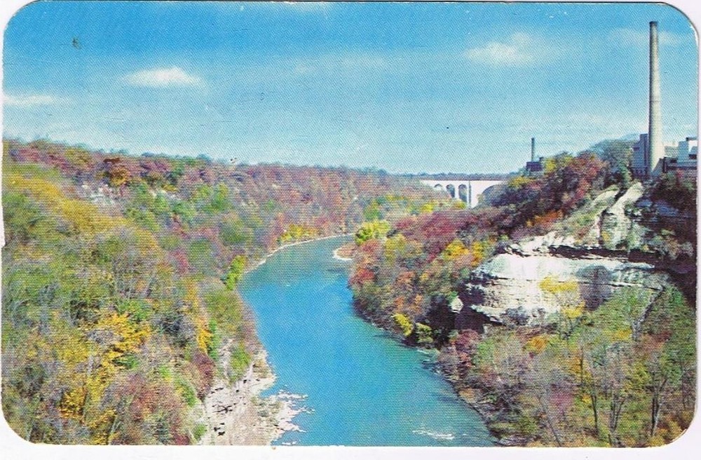 New York Postcard Rochester Genesee River Gorge Autumn Scene