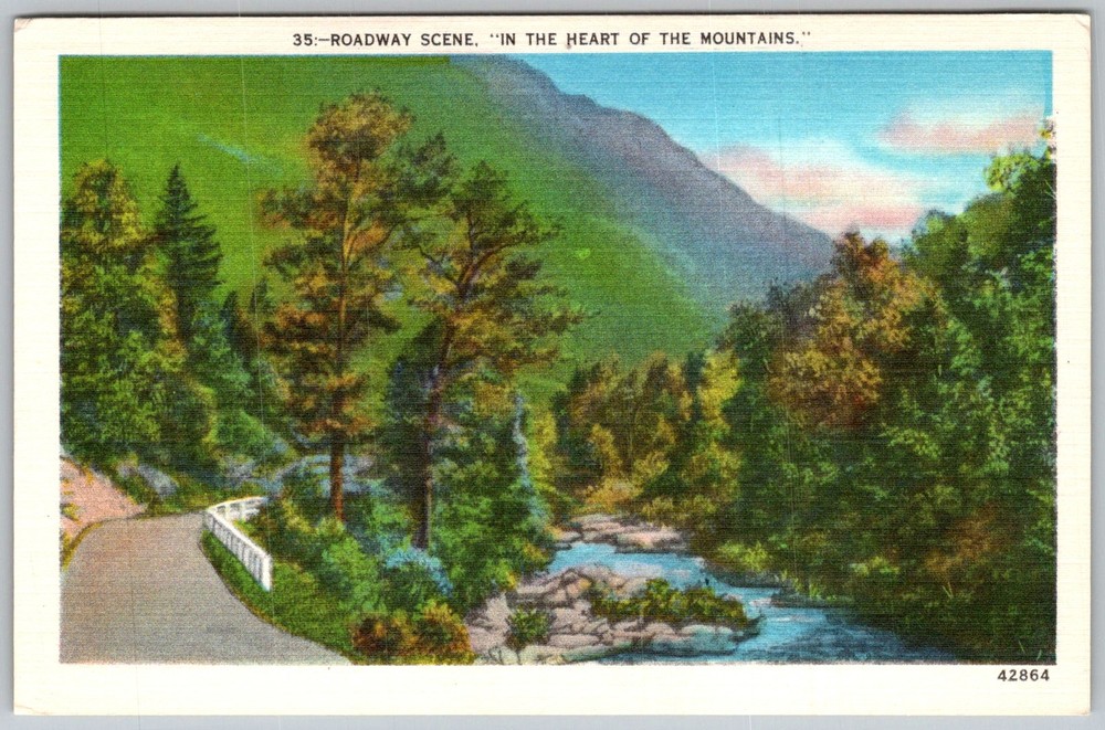 Vtg Linen Postcard Roadway Scene Mountains Asheville, NC 1930s