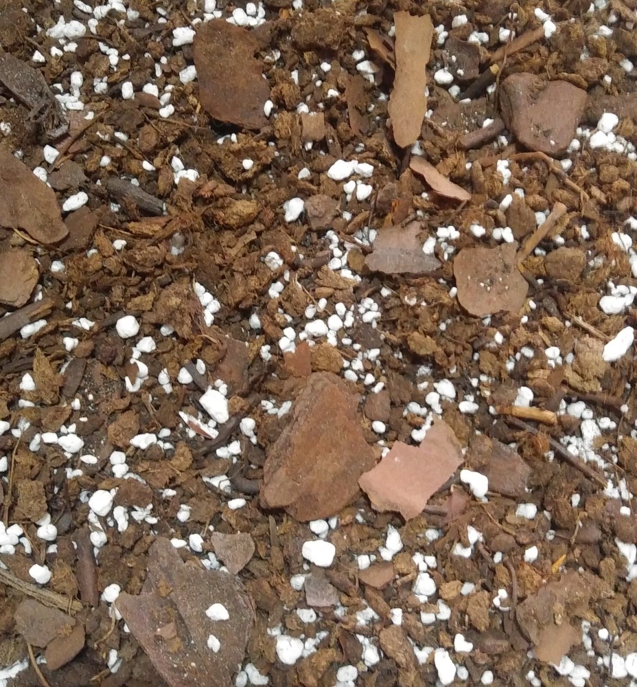 Acid Loving Pants Soil Mix made with Worm Castings, Organic, Nutrient Rich-image