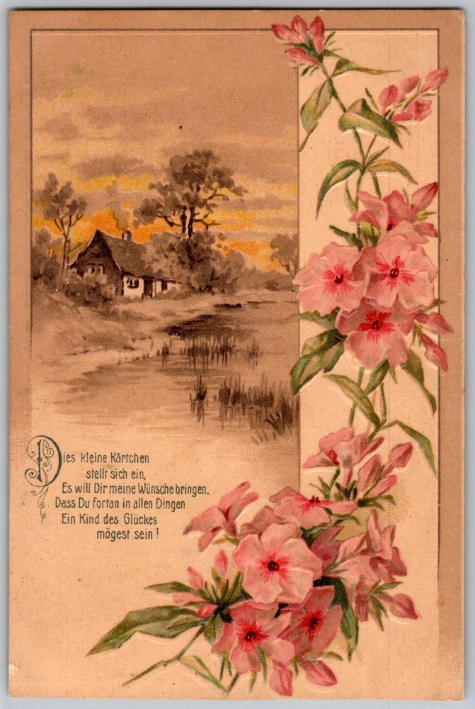 Antique Postcard Country Cottage Scene DE 1910s