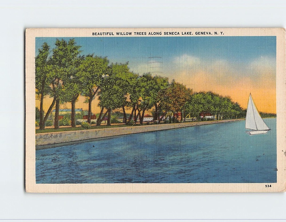 Postcard Beautiful Willow Trees Along Seneca Lake Geneva New York USA