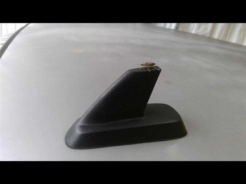SILVRDO15 2006 Car Antenna Replacement Model 350213