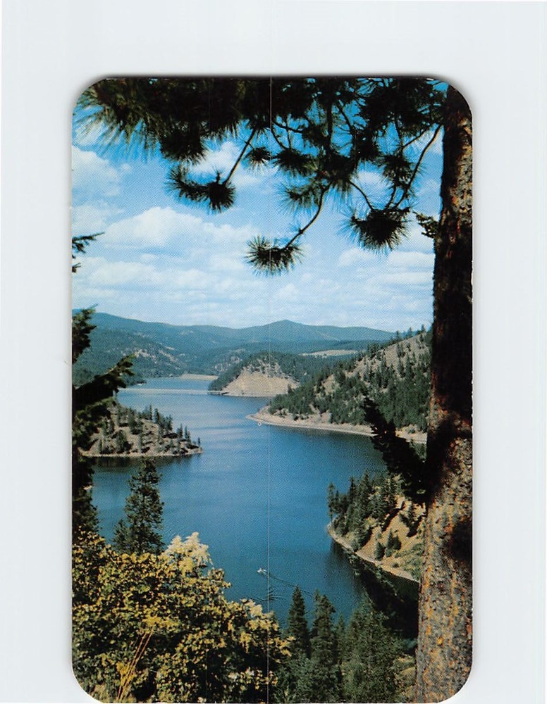 Postcard Beauty Bay Lake Coeur d Alene Idaho USA