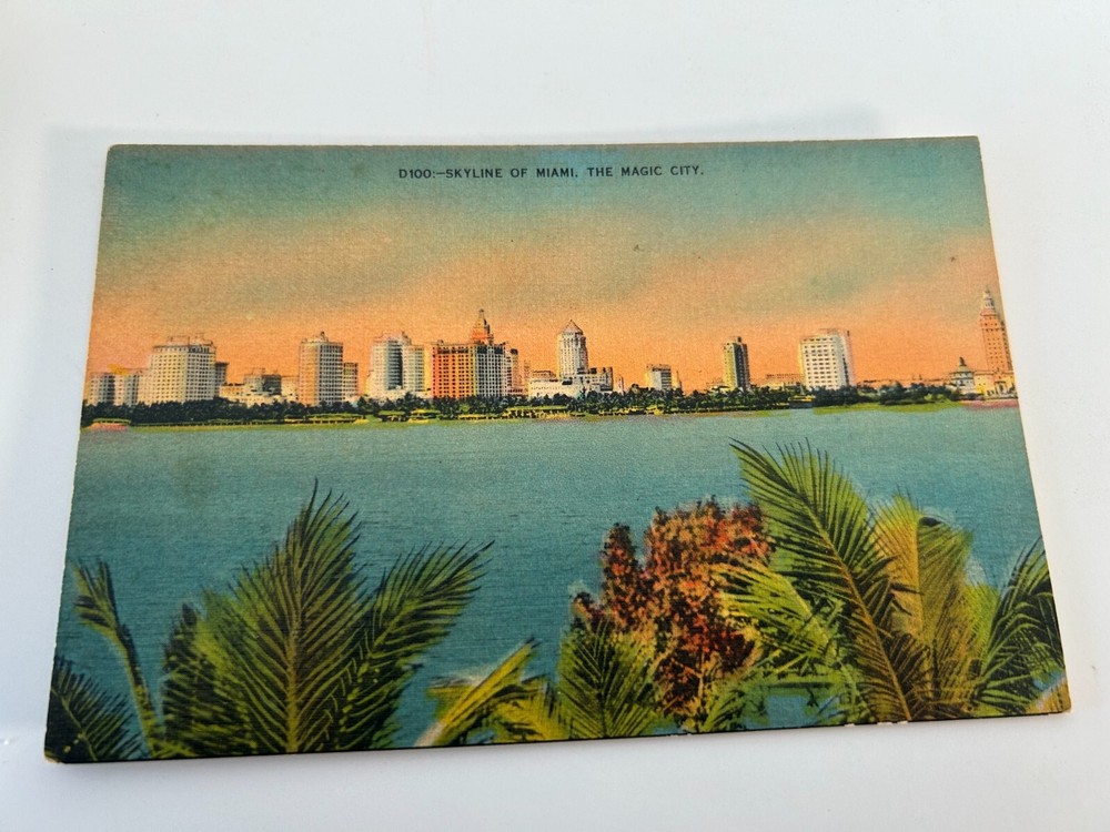 Skyline of Miami Florida the Magic City with Palms in Foreground Postcard
