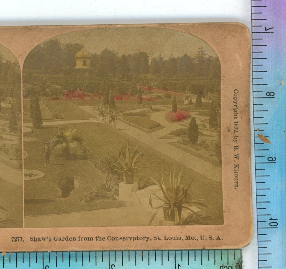 Shaw's Garden from Conservatory St Louis MO Missouri Kilburn Stereoview