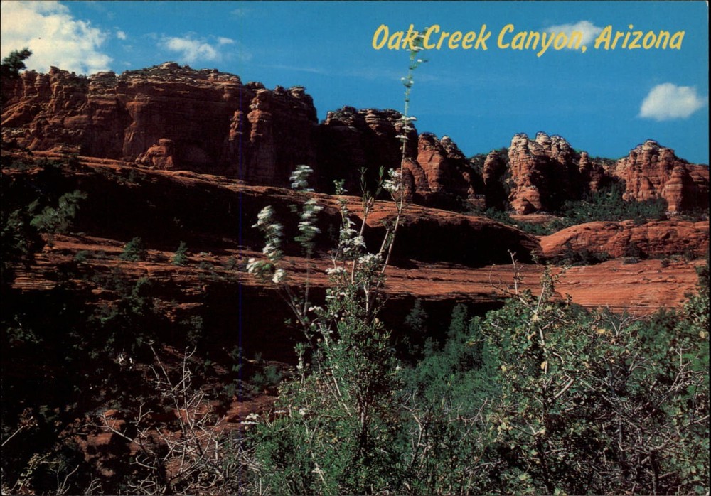 Arizona Oak Creek Canyon Red Rock formations Coconino Natl Forest ~ postcard