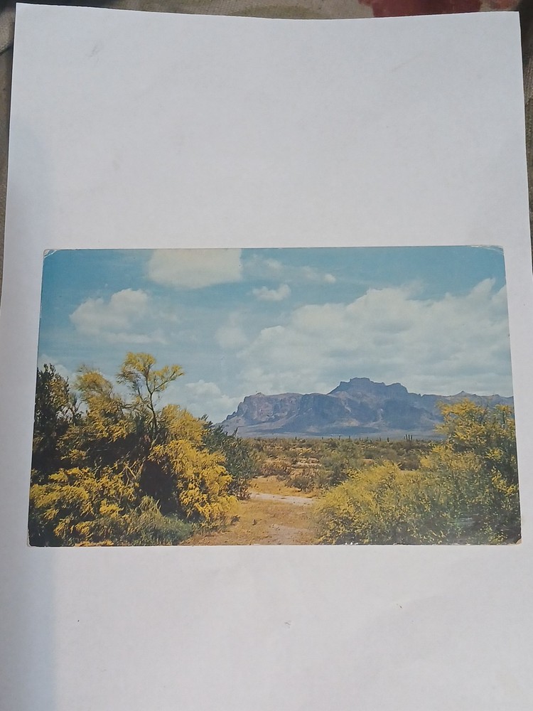 Arizona Superstition Mountain Mesa Posted Postcard