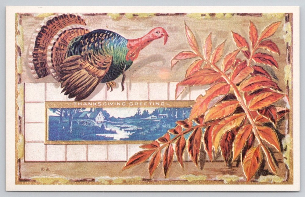 Vintage Thanksgiving Turkey Postcard, Autumn Leaves, Divided Back
