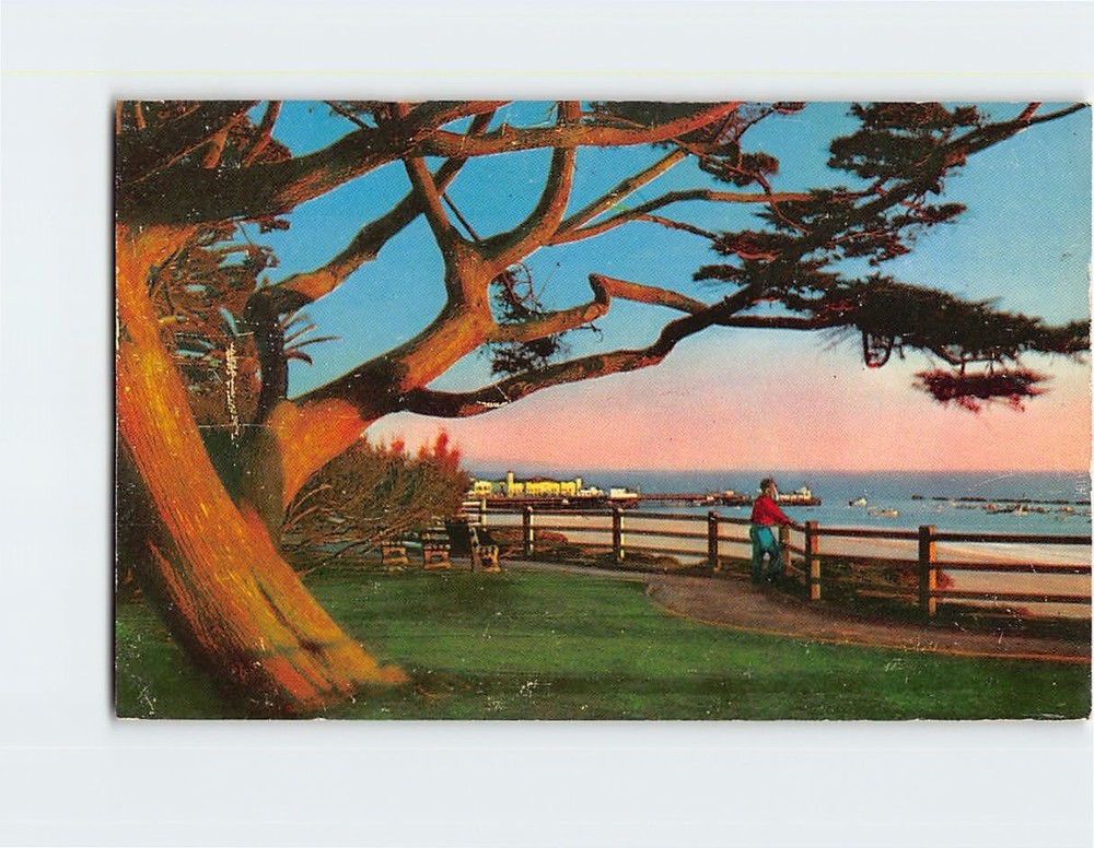 Postcard View From Park Along Palisades Santa Monica California USA