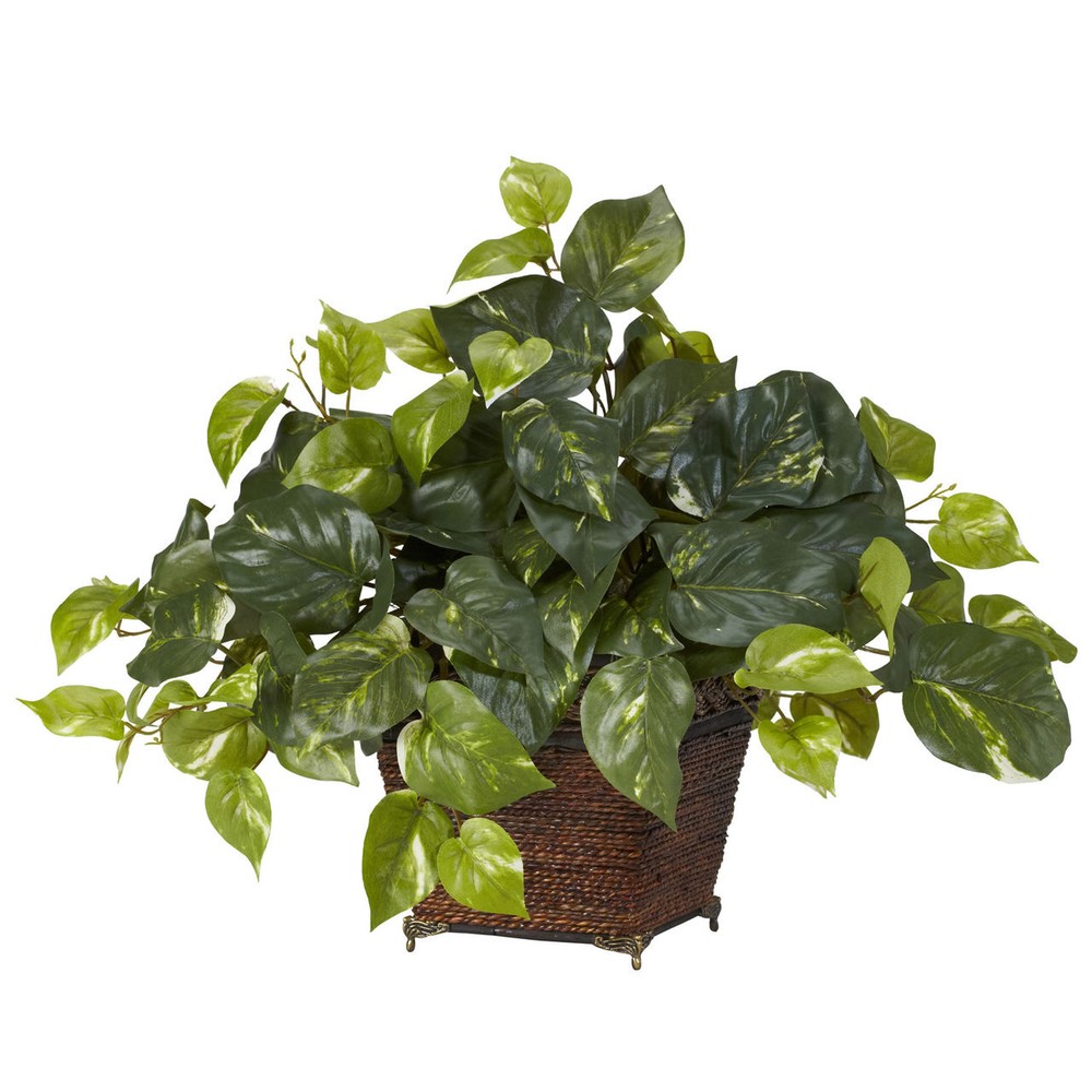 Pothos Silk Plant in Coiled Rope Planter for Boho Home Decor  