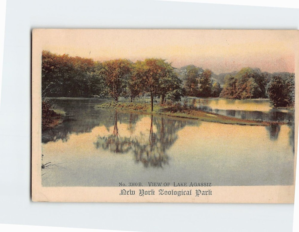 Postcard View of Lake Agassiz New York Zoological Park New York USA