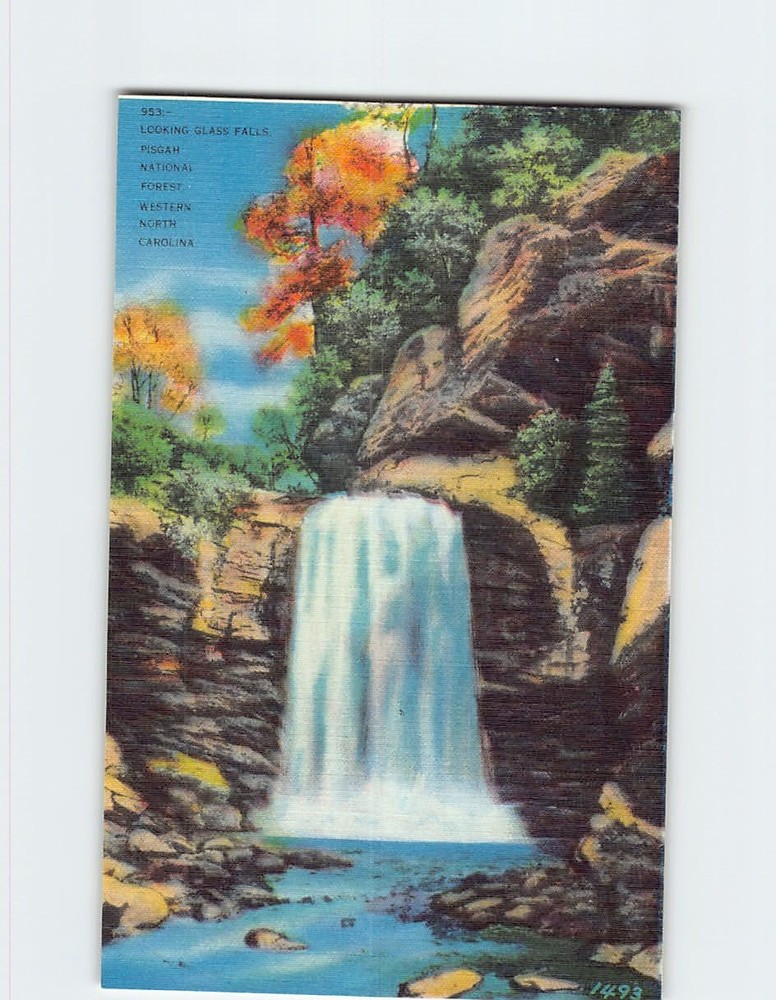 Postcard Looking Glass Falls Pisgah National Forest Western North Carolina USA