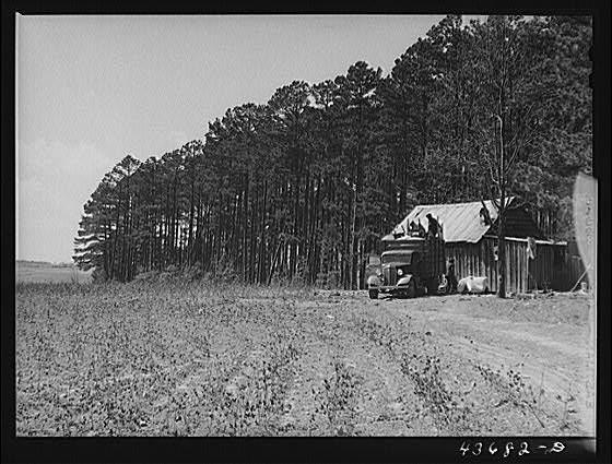 Camp Croft Area,Spartanburg County,South Carolina,SC,Farm Security Admin,FSA,8