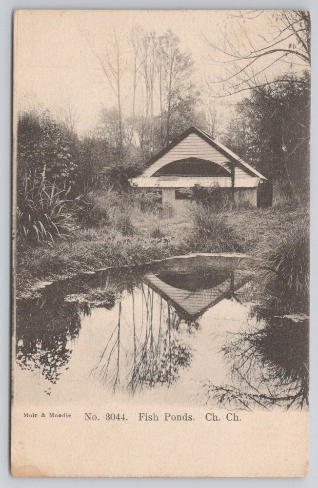 Muir & Moodie Fish Ponds Christchurch NZ Postcard New Zealand