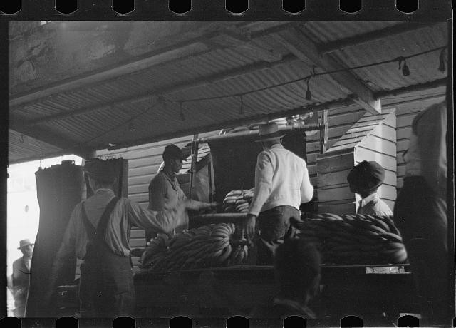 Photo:Mobile Alabama 1937 Banana Dock Unloading Workers