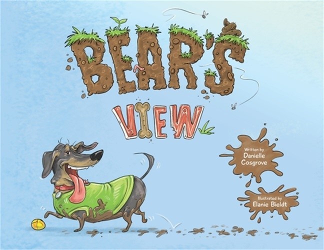 Bear's View (Paperback or Softback)