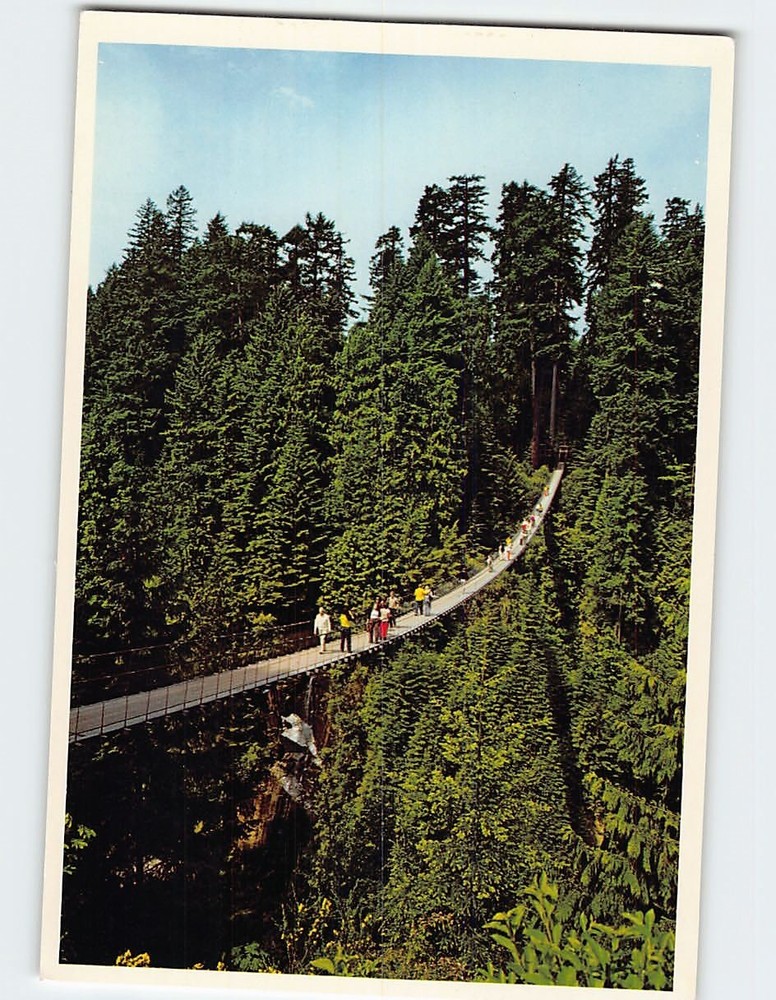 Postcard Capilano Suspension Bridge North Vancouver Canada