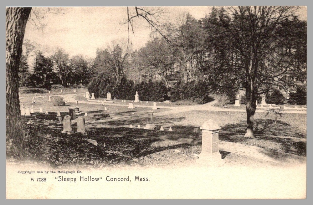 Sleepy Hollow Cemetery Concord Massachusetts Real Photo RPPC 1905 UNP Postcard