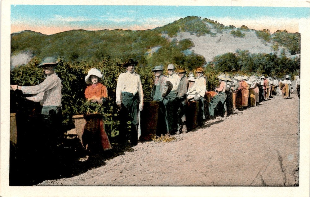 CA, Pacific Novelty Co., San Francisco, Los Angeles, Address, Stamp Postcard