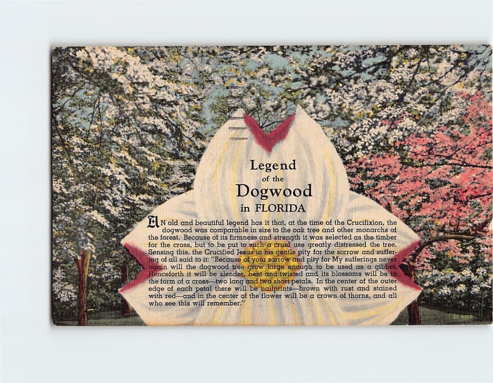 Postcard Legend of the Dogwood in Florida USA