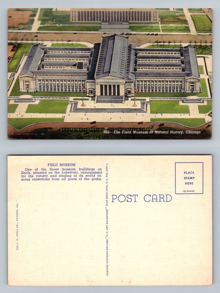 Chicago, IL-Illinois, Field Museum Natural History View PC Vintage Postcard
