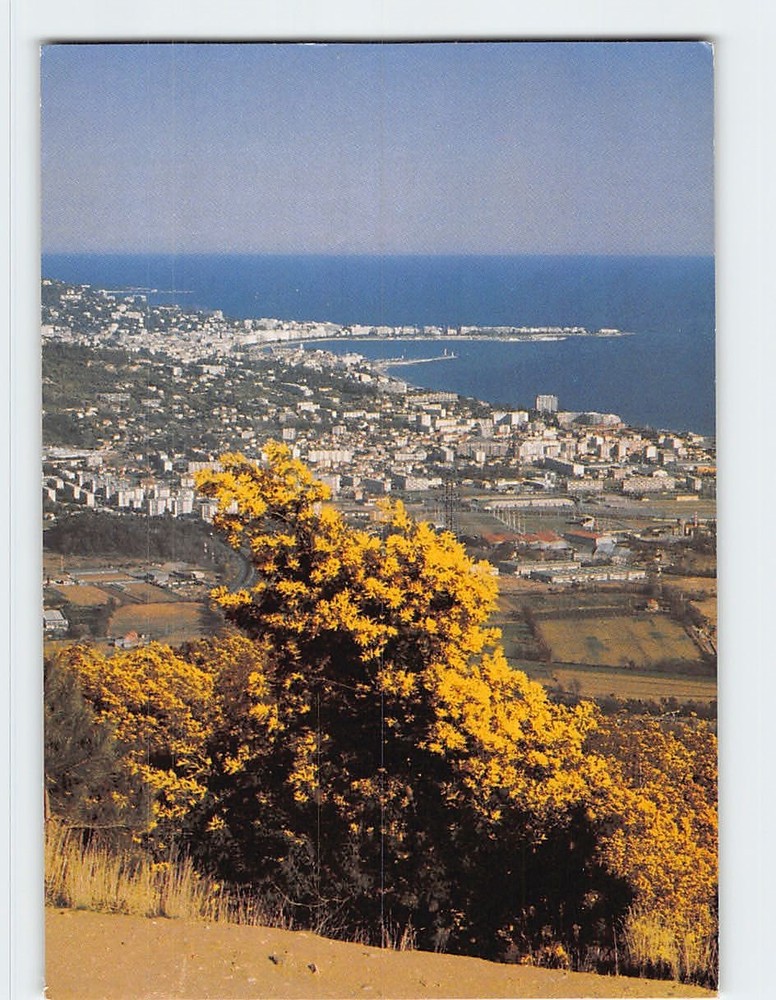 Postcard Vue Prise du Grand Duc La Bocca Cannes France