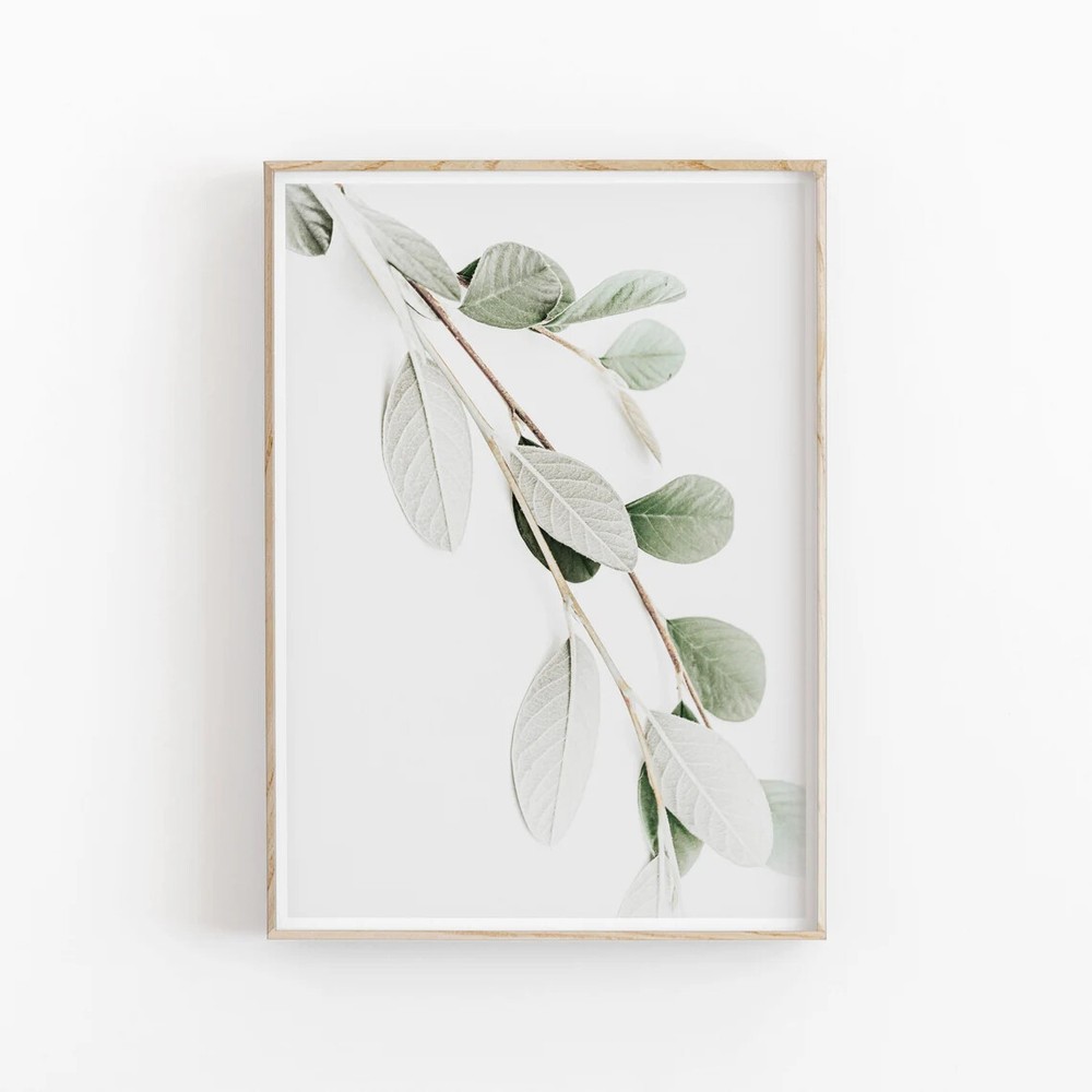 Minimalist Botanical Wall Art Poster Premium Quality Choose your Size
