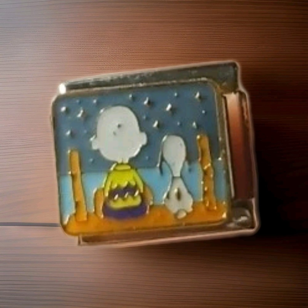 Snoopy Charlie Brown Italian Charm 9MM Stainless Steel