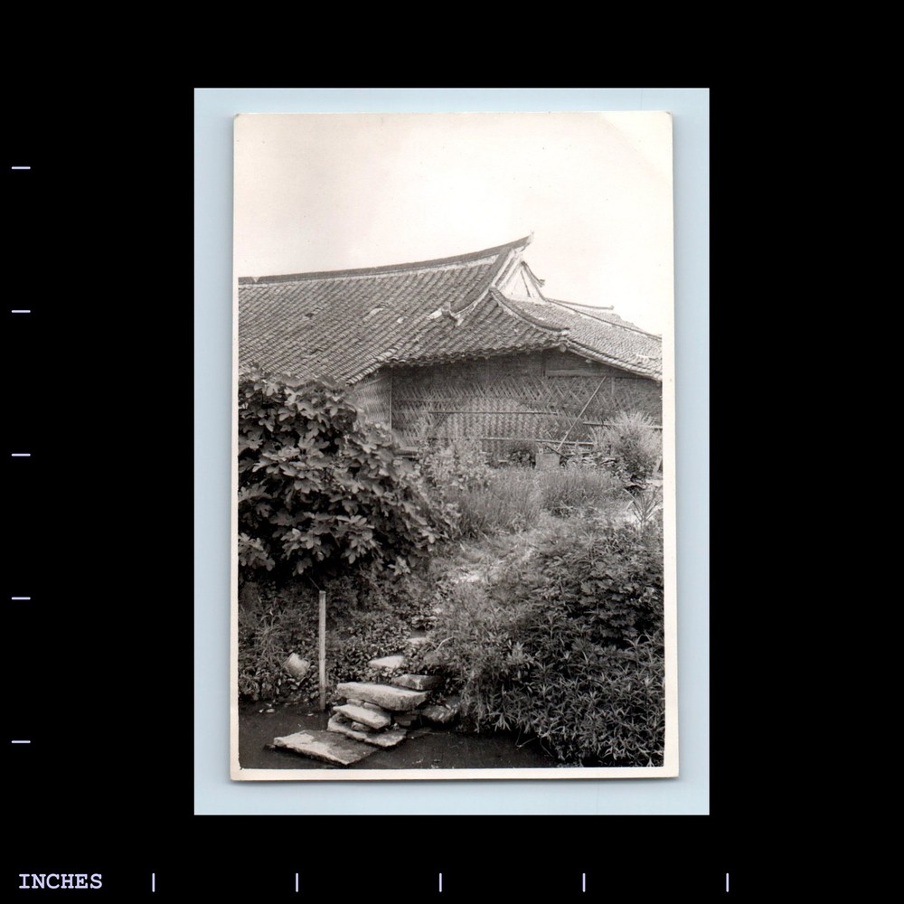 Old Vintage Photo CLOSE-UP OF BUILDING AND GARDEN