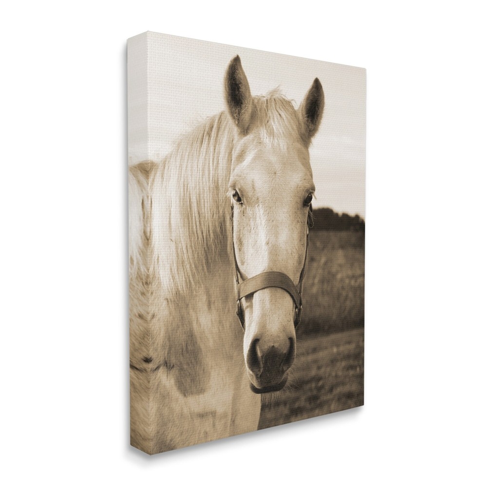 Stupell Rustic Sepia tone Portrait of White Horse Canvas