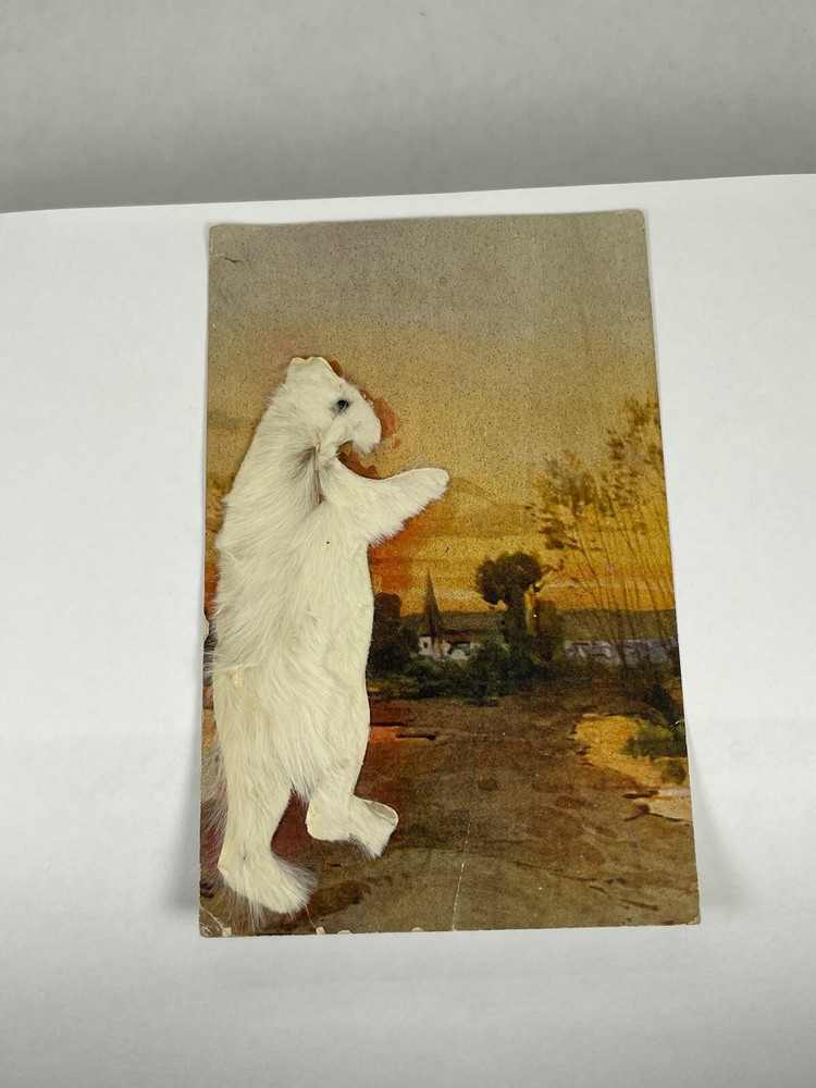 Vintage 1908 Fuzzy Polar Bear Real Rabbit Fur Undivided Back Postcard
