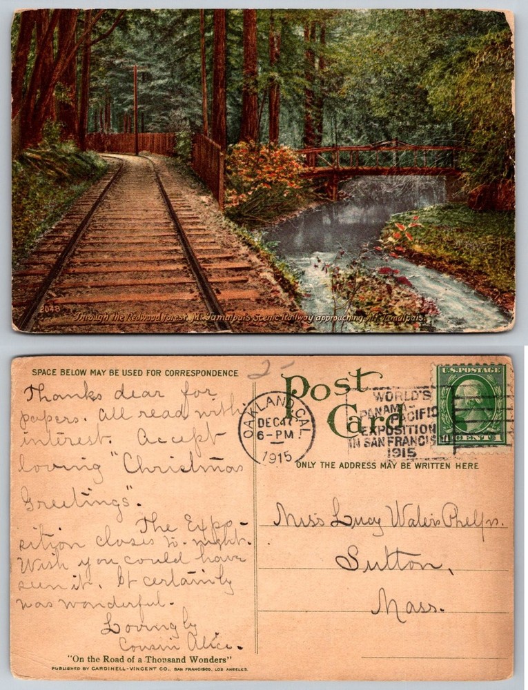 1915 Redwood Forest Mt. Tamalpais Scenic Railway Postcard Oakland Postmark