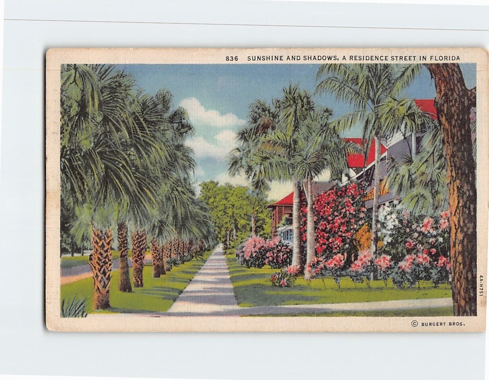 Postcard Sunshine & Shadows Residence Street Florida USA