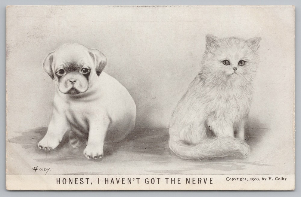 Animal~Puppy & Kitten~I Havent Got the Nerve B&W Card~Vintage Postcard