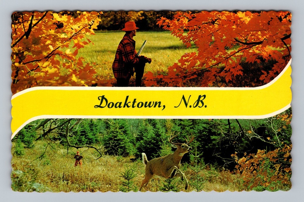 Canada New Brunswick Doaktown Banner Greetings Standard Postal Vintage Postcard