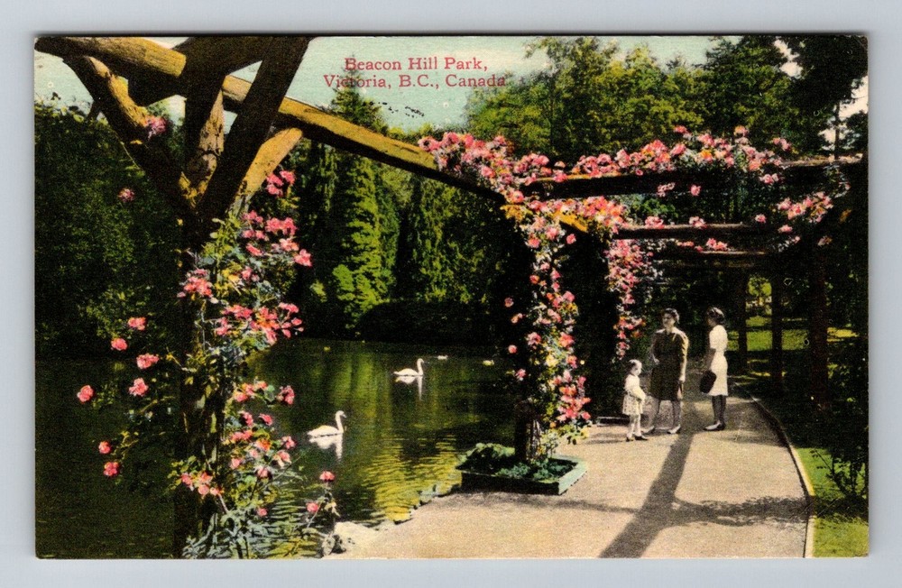 Canada- Victoria Beacon Hill Park Scenic Lake Walkway & Swans Vintage Postcard