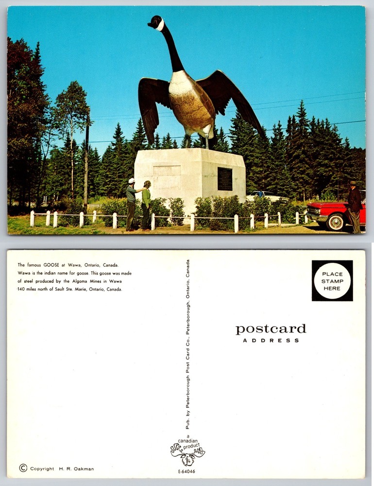 Wawa Goose Ontario Canada Monument Postcard