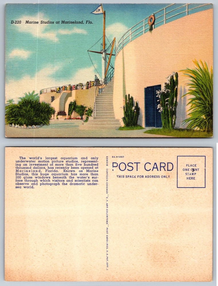 Marineland Florida Marine Studios Aquarium Linen Postcard D-220 CT Art-Colortone