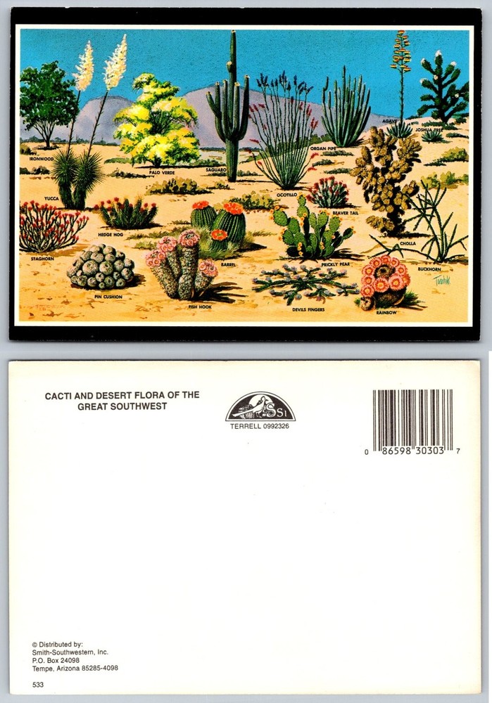 Cacti & Desert Flora Postcard - Great Southwest Arizona Botanical Art