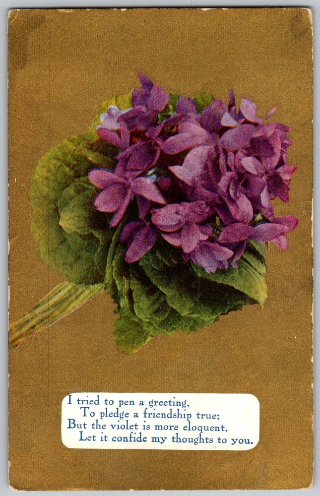 Antique Postcard Violet Floral Greeting 1910s