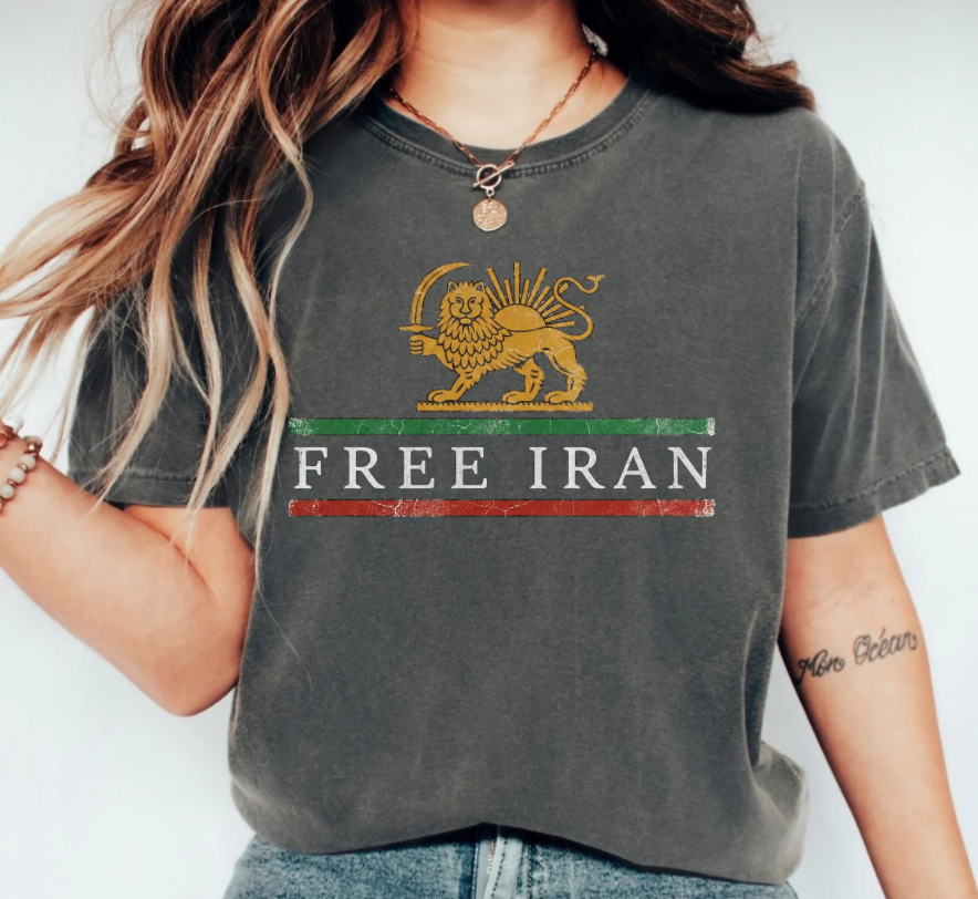 Free Iran Shirt, Persian Flag Shirt, Iran Flag Lion and Sun Shirt, Iran Flag Tee