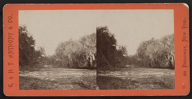 Photo of Stereograph,Mud Creek,Hilton Head Island,South Carolina,Civil War