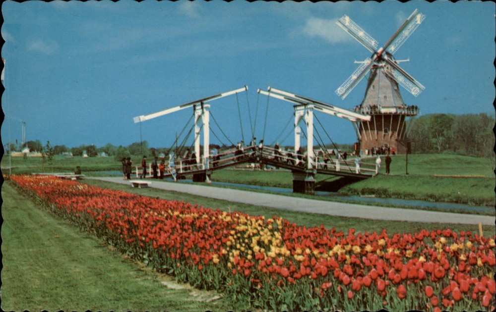 Holland Michigan Windmill Island tulips ~ unused postcard sku165