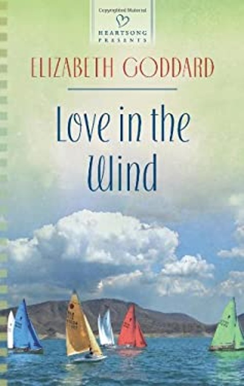 Love in the Wind Mass Market Paperbound Elizabeth GoddardFree US Delivery | ISBN:0373487118