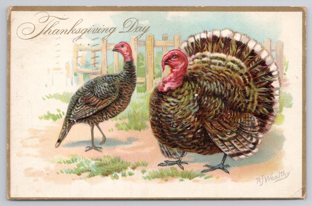 1908 Thanksgiving Day Turkeys Postcard R.J. Wealthy Raphael Tuck & Sons